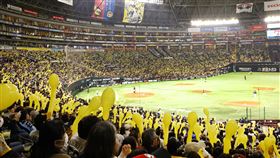 味全龍攜手東南旅遊帶球迷去福岡看軟銀主場賽事。（圖／味全龍球團提供）