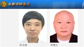 四叉貓說「通緝令同期生的橘子，我很擔心妳的安危啊…」。（圖／翻攝自四叉貓 臉書）