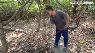 來賺1.5萬！網發起漁光島尋寶：挖到你的