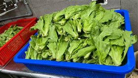 台北市衛生局今（25）日公布今年（2026）1至2月抽驗蔬果產品結果，共13件產品不符合規定。（圖／北市衛生局提供）