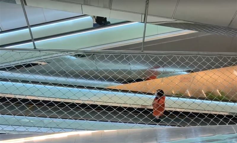 一名2歲男童從電扶梯墜落2.5米，摔在安全網上。（圖／記者張昱傑攝影）