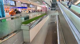 桃園機場,男童,安全網,電扶梯（圖／記者張昱傑攝影）