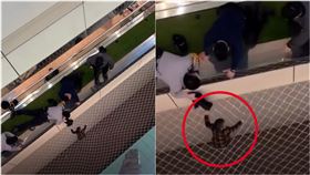 桃機二航廈今日發生男童掉落防落網上。（圖／網友@kuohaolai授權提供，未經同意請勿轉載）