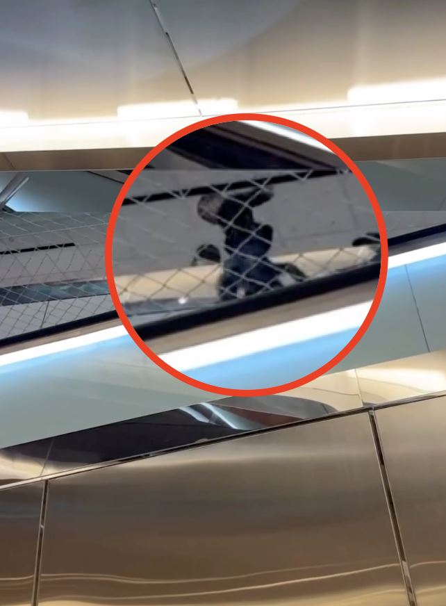 男童跨過玻璃帷幕一躍而下，墜落在安全網上。（圖／Threads @Guo Xu Joyen 授權提供）