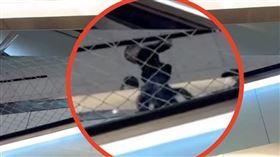 桃園機場,安全網,男童,電扶梯（（圖／Threads @Guo Xu Joyen 授權提供）