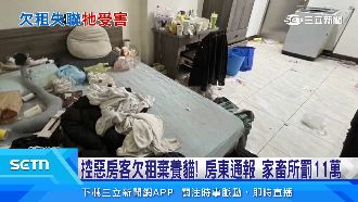 房客落跑欠租棄養貓　家畜所開出11萬罰單