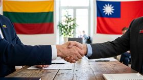 駐立陶宛台灣代表處,立陶宛,立陶宛總統挺台 （示意圖／AI生成）