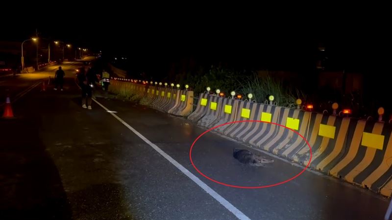 王姓男子疑先不慎撞上路邊竄出的一隻黑色野狗，狗當場死亡。（圖／翻攝畫面）