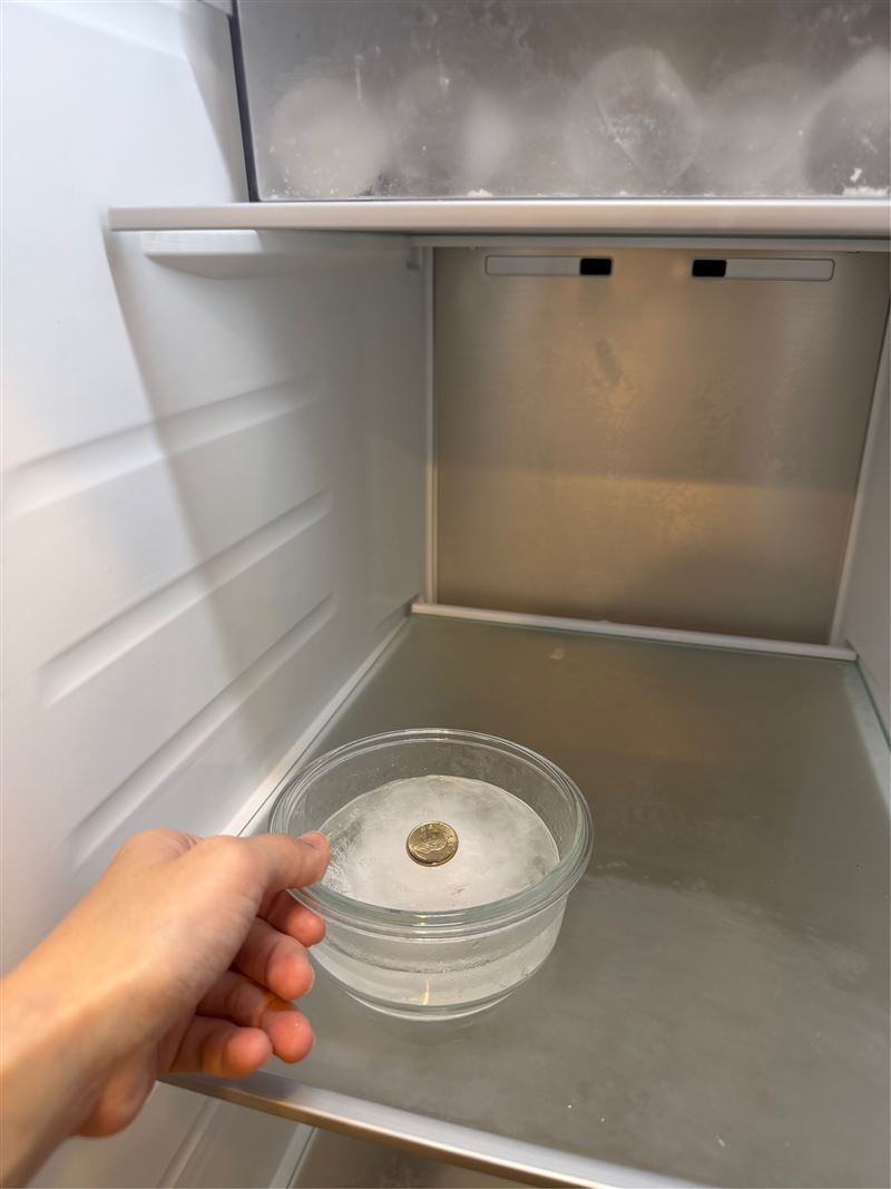 網傳「一元硬幣測試法」,可判斷冰箱是否曾出現溫度異常。(圖/486團購提供)