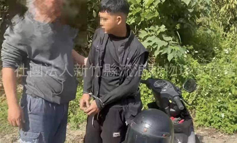 移工捕捉穿山甲後用膠帶緊緊纏繞,再以8000元價金交易。(圖/翻攝社團法人新竹縣流浪動物珍愛協會粉專)