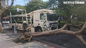 台北市敦化南路二段發生拖吊車勾斷路樹事件。（圖／翻攝畫面）