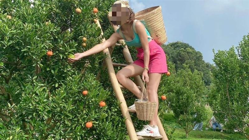 泰女淘金夢碎!來台淪農奴日領80元