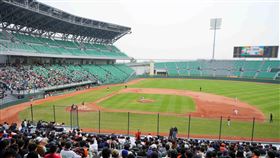 黃偉哲,南市府,體育局,統一獅,台南,球迷,亞太棒球場（圖／南市府提供）