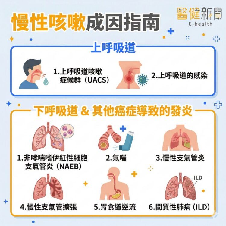 感冒好了仍「嗽」不停！慢性咳嗽是什麼？慢性咳嗽成因指南。（圖／醫健新聞網提供）