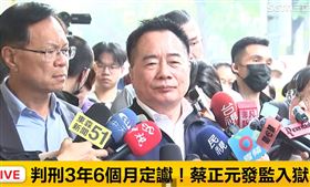 前立委蔡正元。（圖／三立新聞）