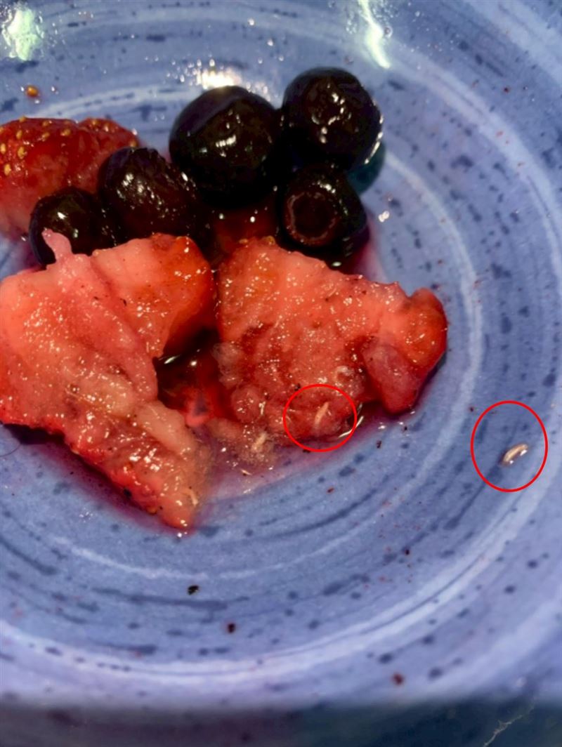 好市多冷凍草莓驚見「蠕動白蟲」⋯苦主：已吞百顆！衛生局稽查結果曝光（圖／翻攝爆料公社）