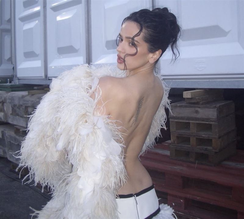 Rosalía(羅莎莉亞)嚴重食物中毒。(圖/翻攝自IG @rosalia.vt)