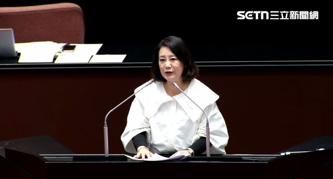 吳思瑤痛批鄭麗文「要出國玩，先繳作業」。（圖／翻攝畫面）