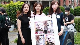 許淑華提防治虐待動物的四項主張。（圖／翻攝自許淑華臉書）
