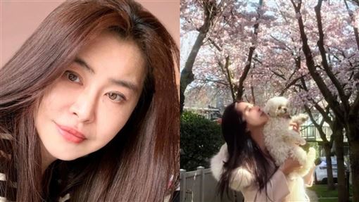 王祖賢被漫天櫻花包圍！一轉身少女感全洩