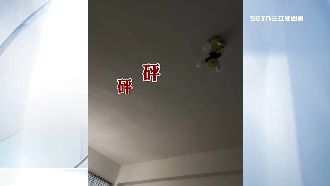 獨／放佛經、唱歌、跺腳　遭惡鄰吵到崩潰