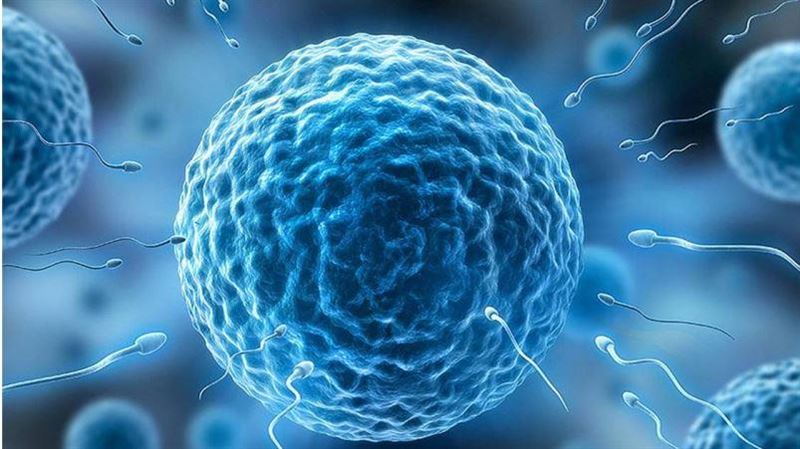 太空生寶寶難?「微重力下精子會迷路」