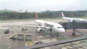 全台首創！虎航訂閱制　月費1588年換4組來回機票