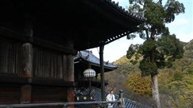 位於奈良縣櫻井市長谷寺已有超過1,300年的歷史，最早由法師道明在西元686年建立。