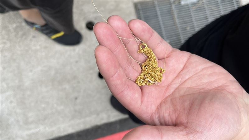 辣媽搬家金鍊遭竊 警逮菜鳥搬家工人追回