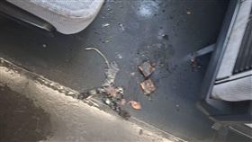 自強號,行動電源,台鐵(圖／翻攝畫面）