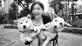 情殺,刺頸,手刃,複合,遭拒,恐怖情人,台中,追逐（圖／翻攝畫面）