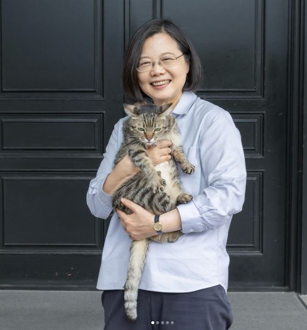 蔡英文是資深貓奴，幽默自嘲卸任後，現在家中她的地位最小。（圖／翻攝自IG @tsai_ingwen）