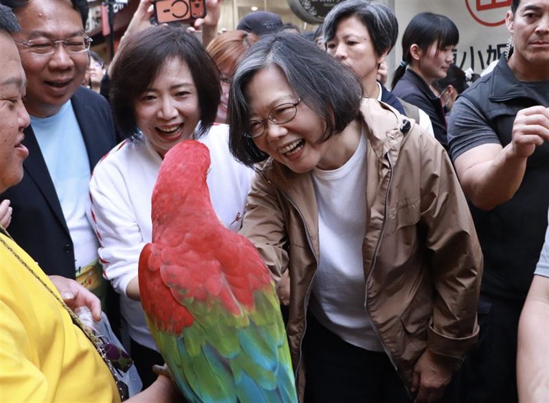 蔡英文超愛小動物，逛廟東老街看到鸚鵡，開心地停下腳步逗鳥玩。（圖／翻攝自何欣純臉書）