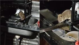 台中小吃攤老鼠在洗手槽亂竄，且裏頭還有尚未清洗的碗盤，衛生環境令人堪憂。（圖／爆料公社公開版）