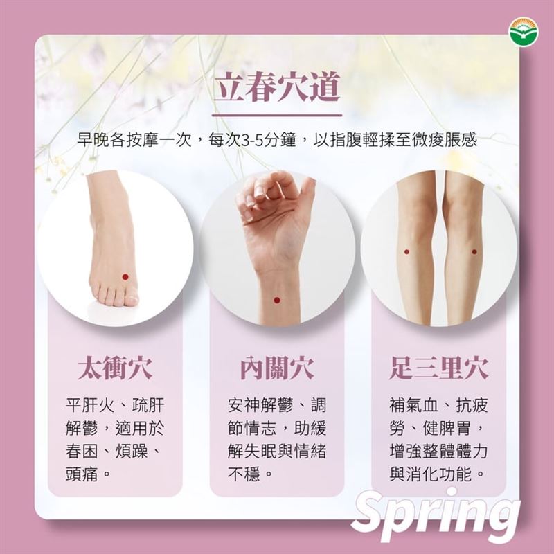 立春穴道圖。（圖／翻攝自 彰化馬光中醫診所 劉宗昇醫師 提供）