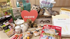 Coupang酷澎3/30~4/12寵物超級特展，優質寵物食品、用品全面9折起。（圖／業者提供）