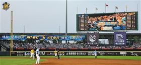 臺中洲際球場視覺大進化！中信兄弟導入台灣首創外野 LED 看板。(圖/業者提供)