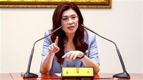 趙曉慧指出，鄭麗文與歷任訪問中國的黨主席有一個最大的不同，她是「民進黨裔」的黨主席。（圖／翻攝自國民黨臉書）