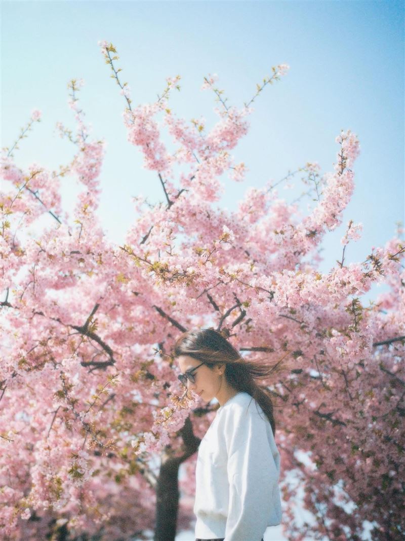 SHE三人合體幫Hebe慶生。（圖／翻攝自臉書）