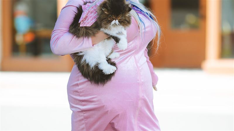 小腹瘦不下來,不只吃太多,與血糖波動、壓力、腸胃不順及核心無力也相關。(示意圖/PIXABAY)