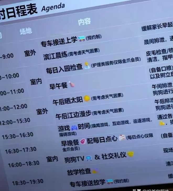 上海有飼主每月花費約1.2萬元人民幣（約新台幣5.3萬元），送犬隻至「狗狗幼兒園」接受訓練與托管。（圖／翻攝自卷史）