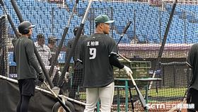 台鋼雄鷹外野手王柏融重返一軍先發。（圖／記者戴以柔攝影）
