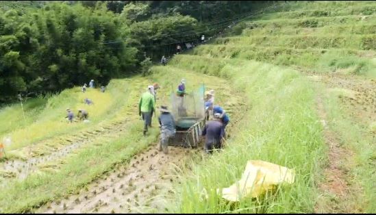 山坡上的經典賽：倒著走的「水上漂」。（圖／三立永續辦公室提供）