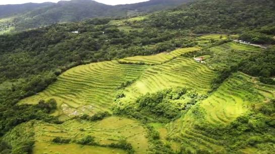為下一個百年留住美麗。（圖／三立永續辦公室提供）
