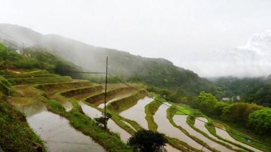 再現水梯田：貢寮山村的重生與守護