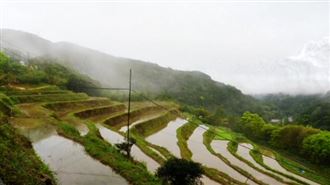 再現水梯田：貢寮山村的重生與守護