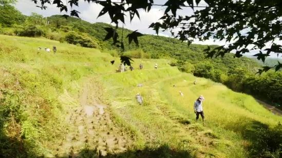 守護「微型水庫」：千餘物種的濕地樂園。（圖／三立永續辦公室提供）