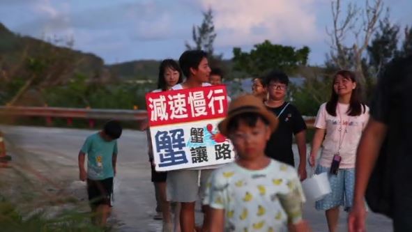 當人類學會為了小生命慢下車速,這座島嶼才真正擁有了最美的風景。(圖/三立永續辦公室提供)