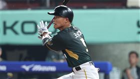 台鋼雄鷹外野手王柏融敲出超前安打。（圖／台鋼雄鷹提供） 