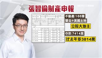 立院地王！張智倫夫妻逾160筆土地